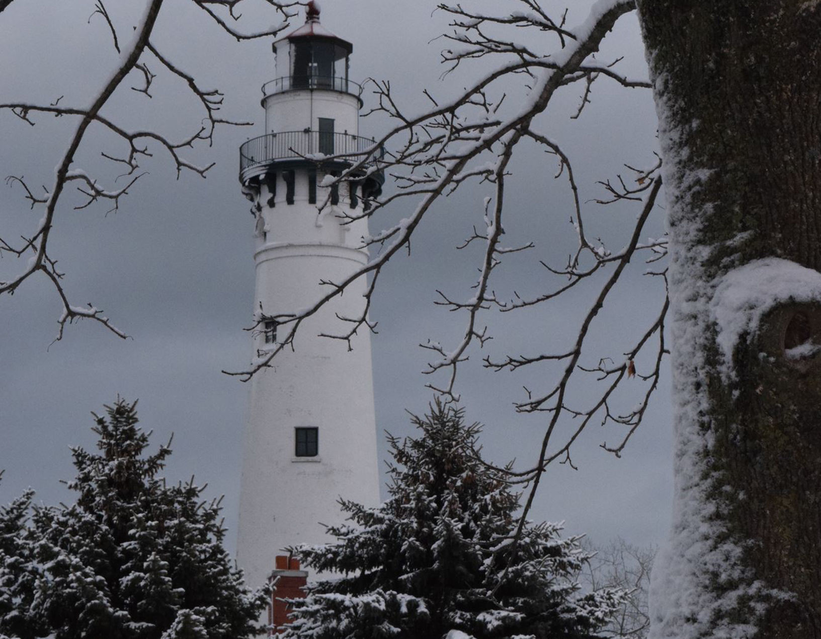 Ice Storm Beauty